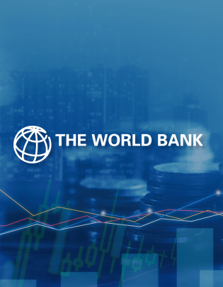 Empowering global remittances through digital innovation.